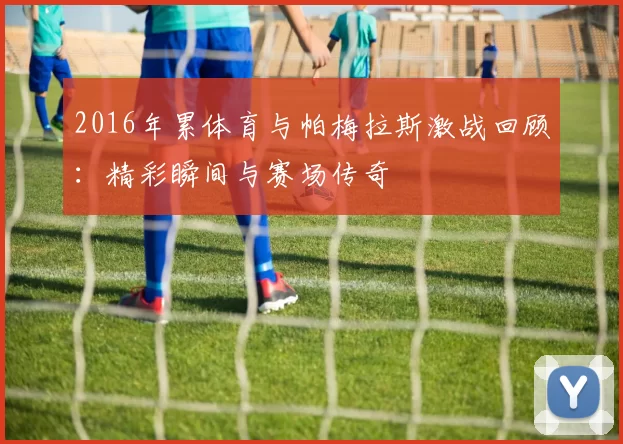 2016年累体育与帕梅拉斯激战回顾：精彩瞬间与赛场传奇