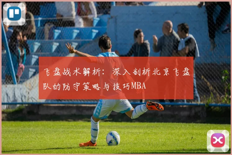 飞盘战术解析：深入剖析北京飞盘队的防守策略与技巧MBA