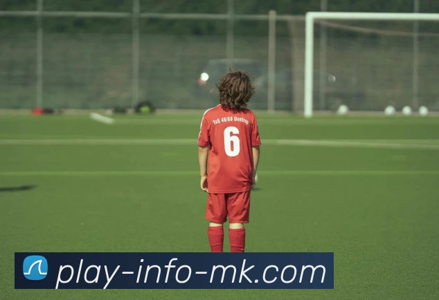 mk体育发展历程